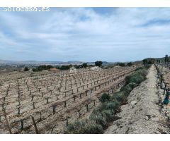 SE VENDE TERRENO RUSTICO CON MAGNIFICAS VISTAS EN ASPE