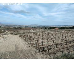 SE VENDE TERRENO RUSTICO CON MAGNIFICAS VISTAS EN ASPE