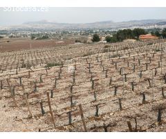 SE VENDE TERRENO RUSTICO CON MAGNIFICAS VISTAS EN ASPE