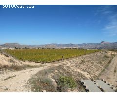 SE VENDE MARAVILLOSA FINCA  EN ESPALDERA (MONOVAR) ALICANTE
