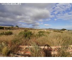 TERRENO RUSTICO URBANIZABLE EN MONFORTE DEL CID, ALICANTE