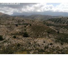 ESPECTACULAR FINCA EN JIJONA