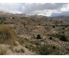 ESPECTACULAR FINCA EN JIJONA