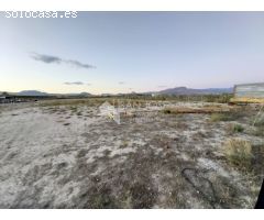 SE VENDE PARCELA CON ALBERGUE EN ZONA HUERTA MAYOR EN ASPE
