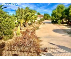 VENTA DE CHALET EN ASPE ZONA TOLOMO