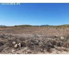 SE VENDE TERRENO RUSTICO EN PINOSO (ALICANTE) SPAIN