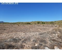 SE VENDE TERRENO RUSTICO EN PINOSO (ALICANTE) SPAIN