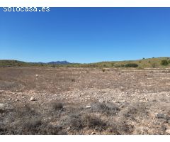 SE VENDE TERRENO RUSTICO EN PINOSO (ALICANTE) SPAIN