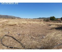 SE VENDE  TERRENO RUSTICO EN PINOSO (ALICANTE) SPAIN