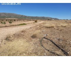 SE VENDE  TERRENO RUSTICO EN PINOSO (ALICANTE) SPAIN