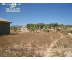 VENTA DE CASA DE CAMPO NUEVA SITUADA ENTRE ASPE Y NOVELDA