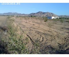 Inmobiliaria San Jose vende parcela en Aspe