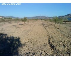 Inmobiliaria San Jose vende parcela en Aspe
