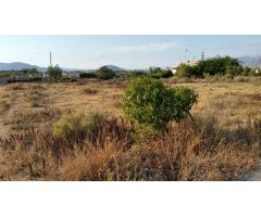 SE VENDE TERRENO EN ASPE, ALICANTE, ESPAÑA, SPAIN.