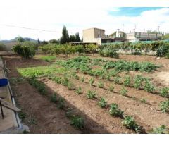 SE VENDE CHALET EN ASPE, ALICANTE, ESPAÑA, SPAIN.