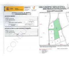 INMOBILIARIA SAN JOSE VILLAS AND HOUSES VENDE PARCELA EN ASPE