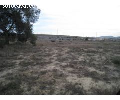 INMOBILIARIA SAN JOSE VILLAS AND HOUSES VENDE PARCELA EN ALENDA GOLF
