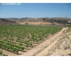 SE VENDE TERRENO CON UNAS CONDICIONES INMEJORABLES,MONFORTE