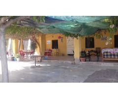 VENTA O ALQUILER CON OPCION A COMPRA, ASPE,ALICANTE CON CUADRA PARA CABALLERIA EN MUY BUENA ZONA