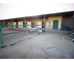 VENTA O ALQUILER CON OPCION A COMPRA, ASPE,ALICANTE CON CUADRA PARA CABALLERIA EN MUY BUENA ZONA