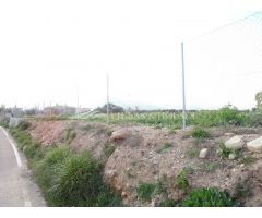 VENTA DE PARCELA DE TERRENO PARA CONSTUIR CHALET EN LA MEJOR ZONA DE ASPE, ALICANTE, SPAIN