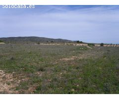 VENTA TERRENO PARA CAMPING PINOSO