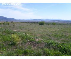 VENTA TERRENO PARA CAMPING PINOSO