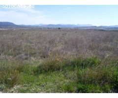 VENTA TERRENO PARA CAMPING PINOSO