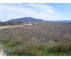 VENTA TERRENO PARA CAMPING PINOSO