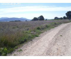 VENTA TERRENO PARA CAMPING PINOSO