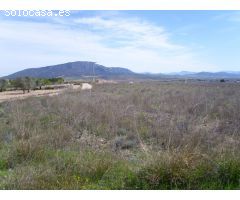 VENTA TERRENO PARA CAMPING PINOSO
