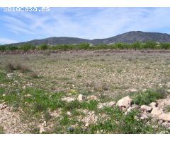 VENTA TERRENO PARA CAMPING PINOSO