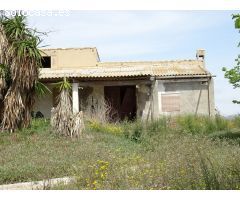 ESPLENDIDA FINCA RUSTICA CON CASA PARA CULTIVAR EN ASPE EN VENTA