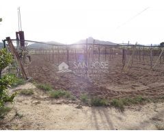 VENTA DE CASA DE CAMPO EN CAMINO DE HONDÓN EN ASPE CON ALMACÉN DE 50 M2