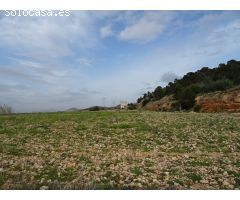 FINCA RUSTICA EN EL TOLOMO-UMBRIA EN HONDON DE LAS NIEVES