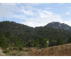 FINCA RUSTICA EN EL TOLOMO-UMBRIA EN HONDON DE LAS NIEVES