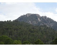 FINCA RUSTICA EN EL TOLOMO-UMBRIA EN HONDON DE LAS NIEVES