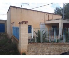 SE VENDE CASA CON TERRENO EN  ALGUEÑA (PINOSO)