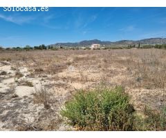 SE VENDE PARCELA CON LICENCIA PARA CONSTRUIR EN PINOSO (ALICANTE) SPAIN