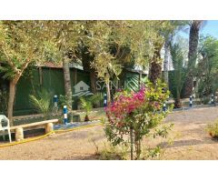 SE VENDE CHALET CON PISCINA Y TERRENO EN CREVILLENTE