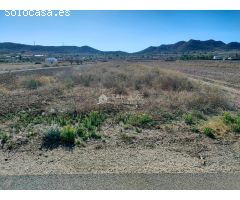 VENTA DE PARCELA RUSTICA AL LADO DEL PUEBLO EN HONDON DE LOS FRAILES