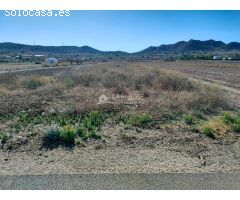 VENTA DE PARCELA RUSTICA AL LADO DEL PUEBLO EN HONDON DE LOS FRAILES