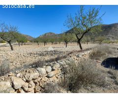 SE VENDE PARCELA CON PRODUCCION DE ALMENDROS AL LADO DEL PUEBLO DE BARBARROJA