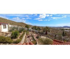SE VENDE BONITO CHALET CON PISCINA Y CASA DE INVITADOS EN MUY BUENA ZONA DE AGOST