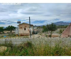 SE VENDE PARCELA RUSTICA CON AGUA Y TODA VALLADA EN ASPE