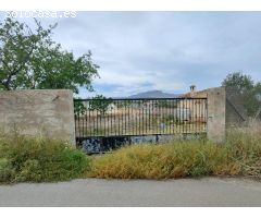 SE VENDE PARCELA RUSTICA CON AGUA Y TODA VALLADA EN ASPE