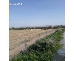 SE VENDE PARCELA RUSTICA CON AGUA Y TODA VALLADA EN ASPE