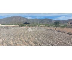 SE VENDE PARCELA RUSTICA EN HONDON DE LOS FRAILES CERCA DEL POLIDEPORTIVO