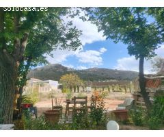 SE VENDE CASA DE CAMPO ADOSADA SEMIREFORMADA EN ZIONA TRANQUILA DEL TERMINO DE LA ROMANA