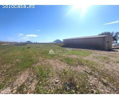 SE VENDE PARCELA DE 40.070 M DE UVA EN PRODUCCIÓN o  CAMPO SOLAR.